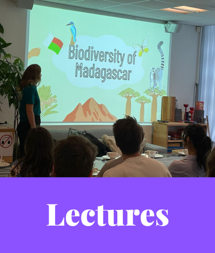 Lectures