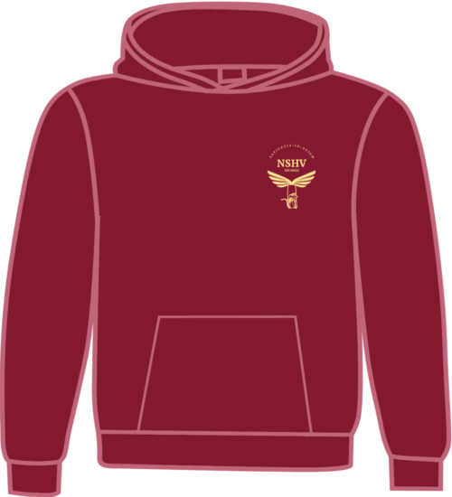 Limited Edition NSHV Hoodie - Image 3